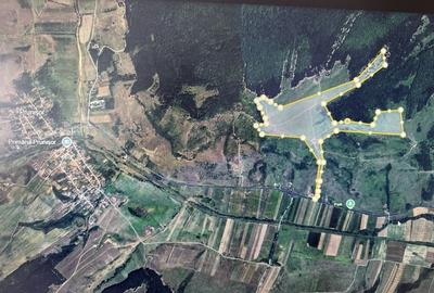 Teren de 480000 mp, în Prunișor - 8