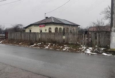 Teren de 2000 mp, în Dorobanțu - 7