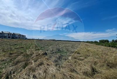 Teren agricol extravilan de 5316 mp, în Aradul Nou - 6