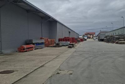 Spațiu industrial, de 8,000 mp, în Vest - 1