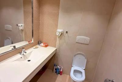 Garsonieră în Vitan - 3