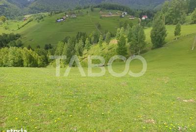 Teren de 4778 mp, în Moieciu
