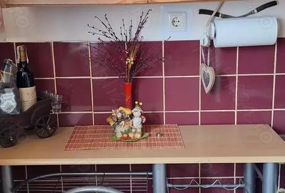 Apartament cu 3 camere nedecomandat în Rovinari - 4