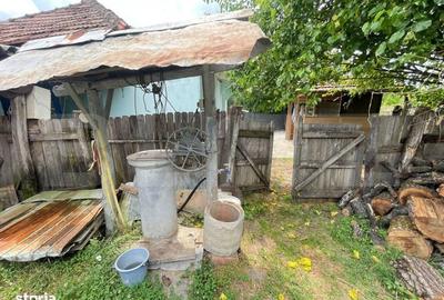 Casă cu 3 camere în Leamna de Sus - 8