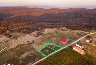 Teren de 915 mp, în Podgoria
