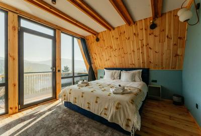 Hotel/Pensiune, de 125 mp, în Vest - 18
