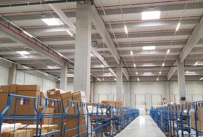 Spațiu industrial, de 1,500 mp, în Mogoșoaia - 2