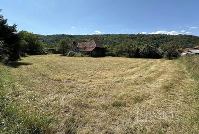 Teren Construcții intravilan de 1345 mp, în Valea Drăganului - 4