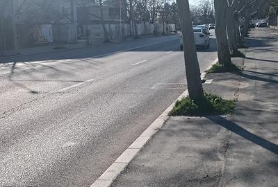 Teren de 4400 mp, în Sisești
