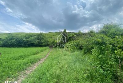Teren de 15900 mp, în Năeni - 3