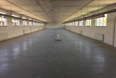 Spațiu industrial, de 600 mp, în Vest - 1