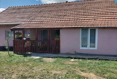 Casă cu 4 camere cu Teren 3500 Mp în Dobra