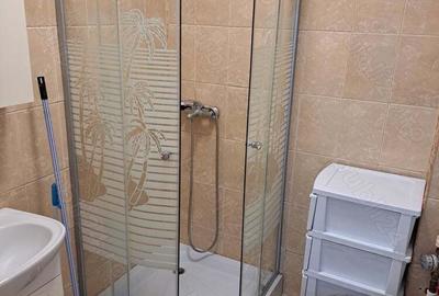 Garsonieră semidecomandată în Ferentari - 6