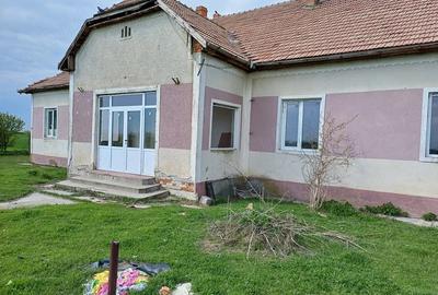 Casă cu Teren 1500 Mp în Pădureni - 2