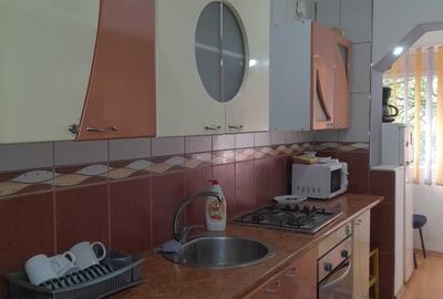 Apartament cu 2 camere semidecomandat, mobilat în Constructorilor - 4