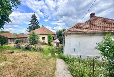 Casă cu Teren 1300 Mp în Central