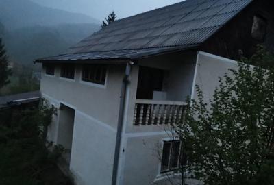 Casă individuală cu 4 camere cu Teren 39927 Mp în Valea Vișeului - 4