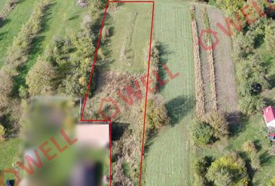 Teren agricol intravilan de 1300 mp, în Dalnic - 2
