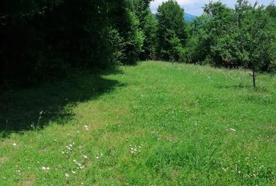 Teren de 4500 mp, în Albești - 3