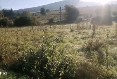 Teren de 568 mp, în Ernei