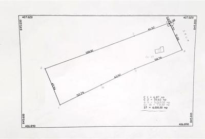 Teren Construcții intravilan de 6000 mp, în Caraorman - 3