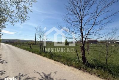 Teren de 925 mp, în Jucu - 4