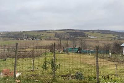 Teren de 4750 mp, în Chicerea - 10