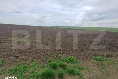 Teren de 3256 mp, în Bosanci - 2