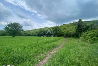 Teren de 15900 mp, în Năeni