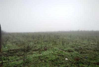 Teren de 6600 mp, în Vânători
