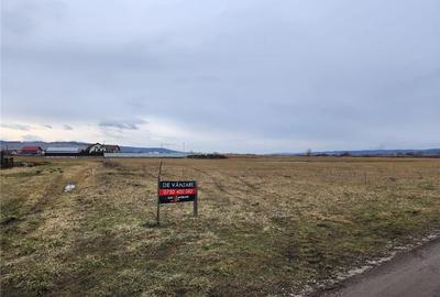 Teren agricol intravilan de 1300 mp, în Ernei - 4