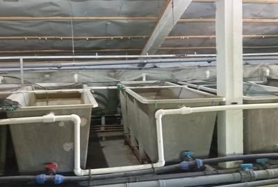 Casă cu 10 camere cu Teren 28000 Mp în Central - 2