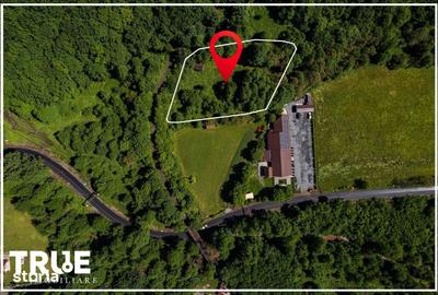 Teren de 2800 mp, în Eremitu - 1