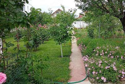 Casă cu 4 camere cu Teren 1128 Mp în 1 Mai - 3