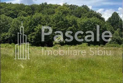 Spațiu comercial, în Central - 2