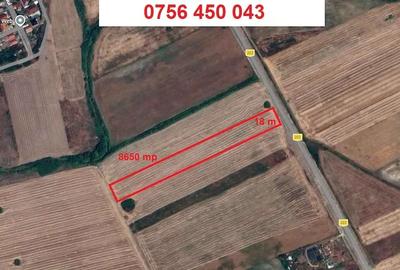 Teren de 8650 mp, în Sânmihaiu Român - 1