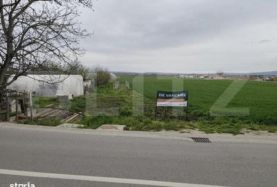 Spațiu comercial, în Podgoria