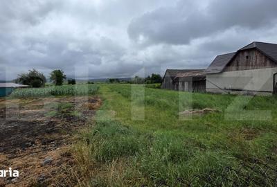 Teren de 2900 mp, în Budacu de Jos - 3