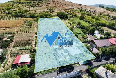 Casă individuală cu 4 camere cu Canalizare în Telița - 2