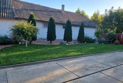 Casă cu 3 camere cu Teren 2000 Mp în Tomnatic