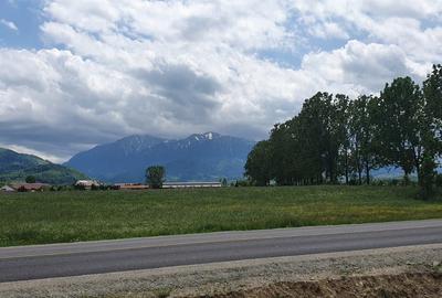 Spațiu comercial, în Pănicel - 4