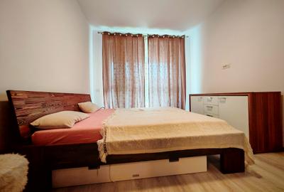 Apartament cu 2 camere decomandat, mobilat în Exterior Vest - 13
