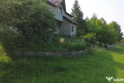 Teren de 4863 mp, în Adâncata - 15