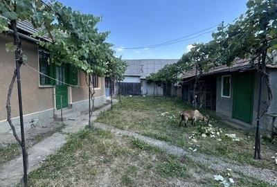Casă cu 3 camere cu Teren 80 Mp în Boghiș