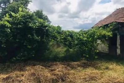 Teren de 2900 mp, în Tureni