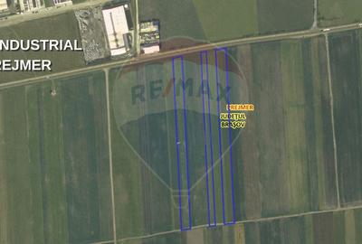 Teren agricol extravilan de 6000 mp, în Prejmer