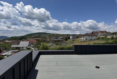 Apartament cu 4 camere decomandat în Petru Rareș - 2