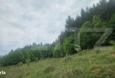 Spațiu comercial, în Vlădeni - 1