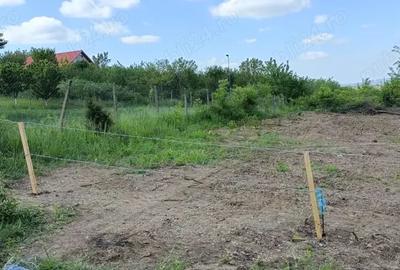 Teren de 100 mp, în Vișan