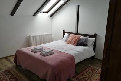 Casă cu 6 camere cu Teren 420 Mp în Paltin - 2